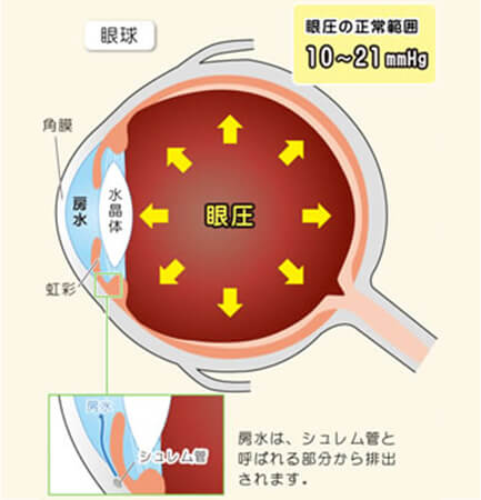 イメージ：眼圧と房水について | 房水は、シュレム管と呼ばれる部分から排出されます