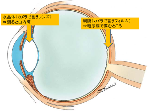 図1